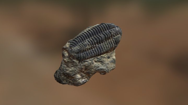TX 2070.01 3D Model