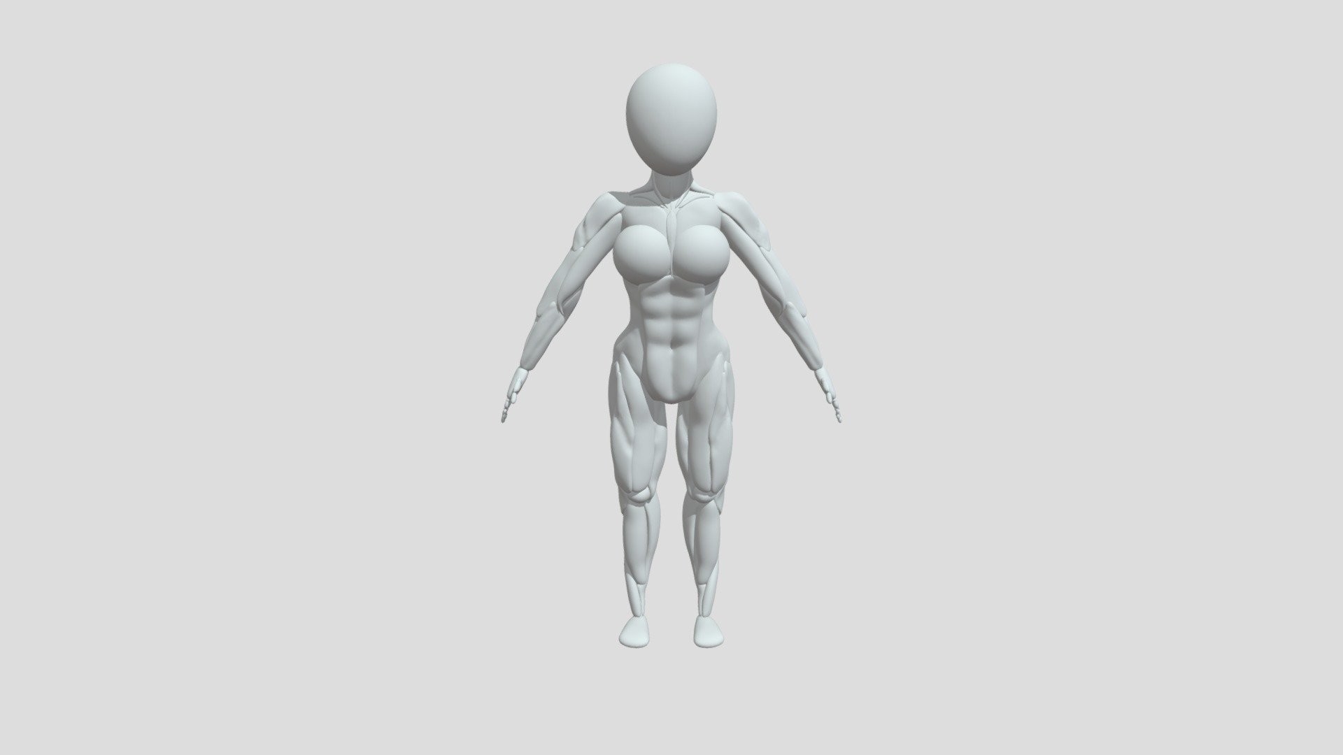 Female Ecorche Anatomy Model 3D model by Jacqueline Wang