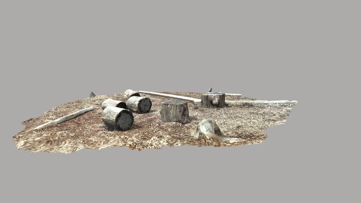 Wood Garden 3D Model