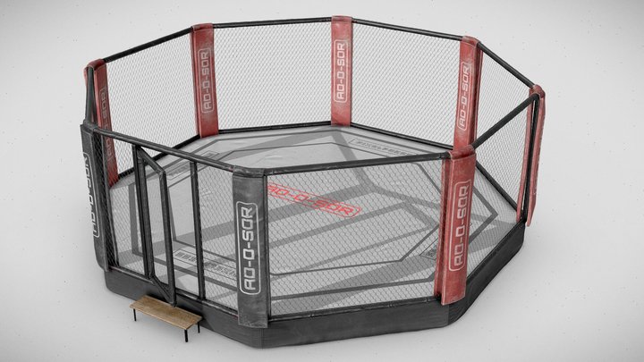 MMA Octagon 3D Model
