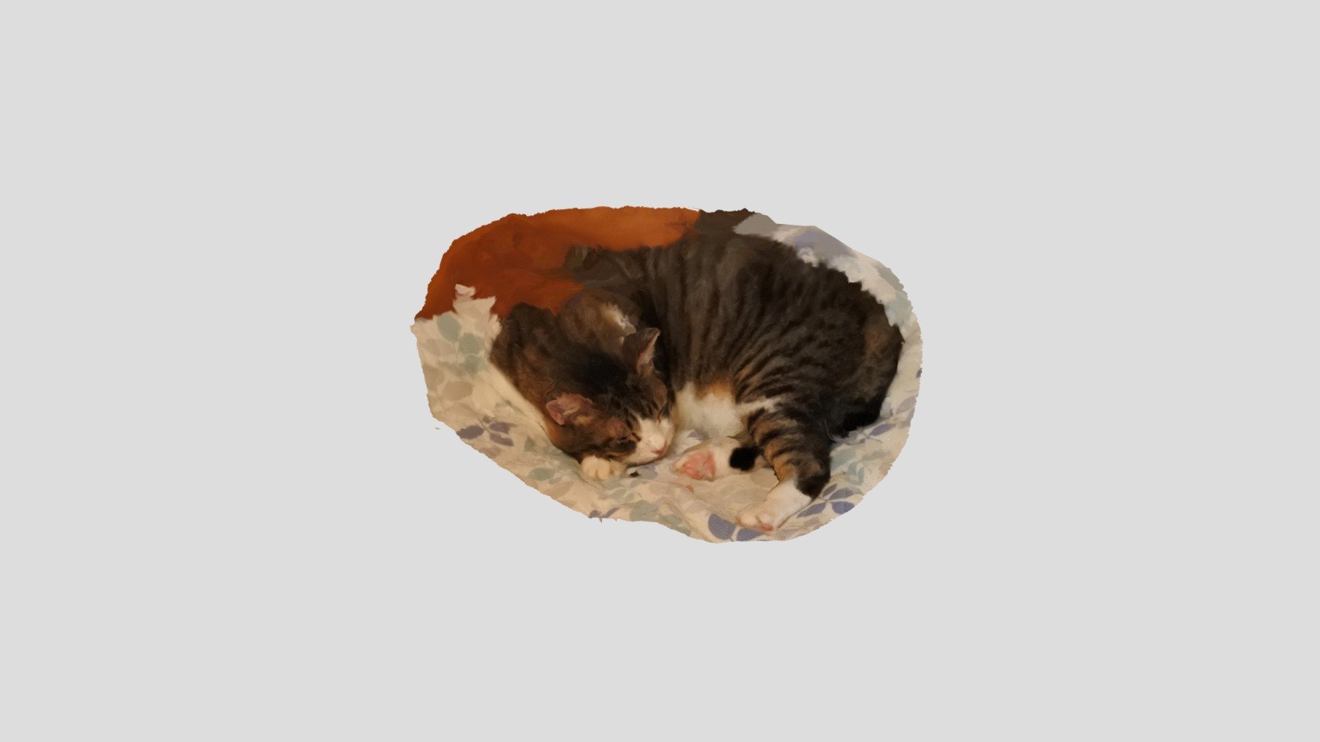 猫（コテツ） by K. Ishizaka