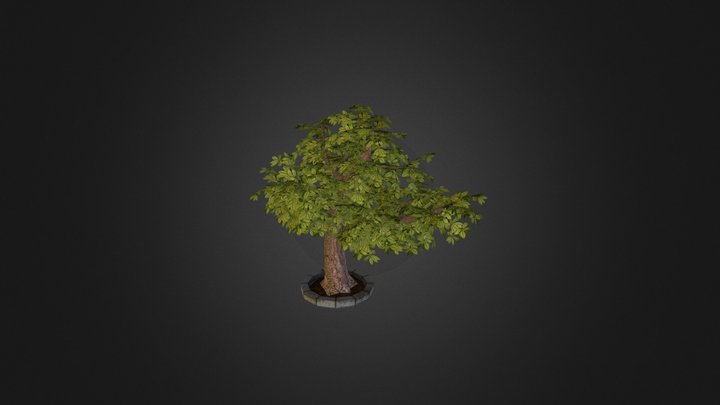 olive tree 3D Model