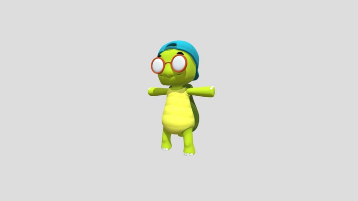 The Turtle 3D Model