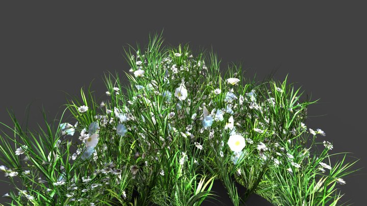 Grass V3 3D Model
