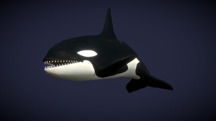 Sealife - Orca 3D Model