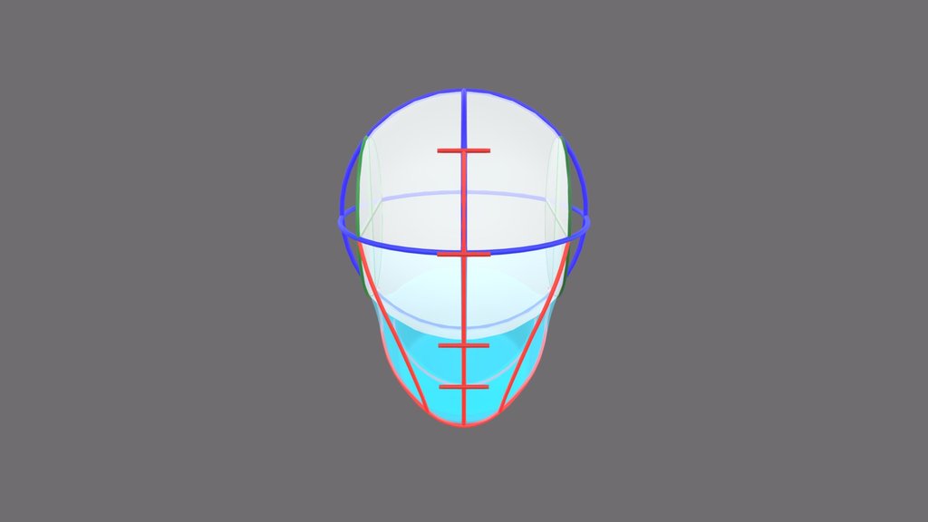 Loomis Head Study with a neck