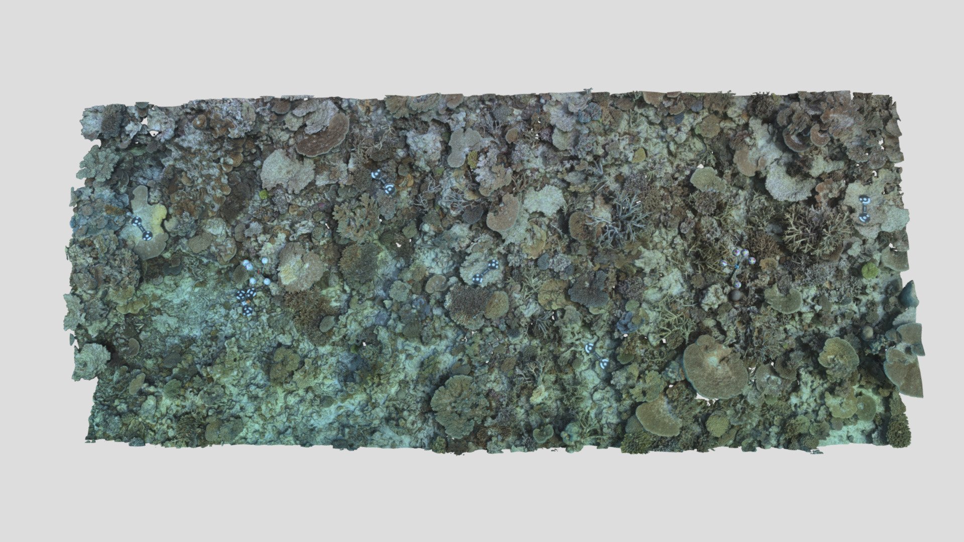 Heron_BA2S_P3_202105 - Download Free 3D model by EcoRRAP (@AIMSEcoRRAP ...