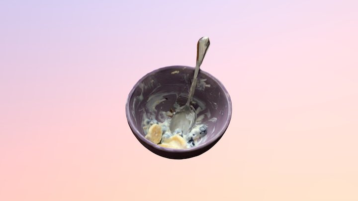 Bowl Granola 3D Model