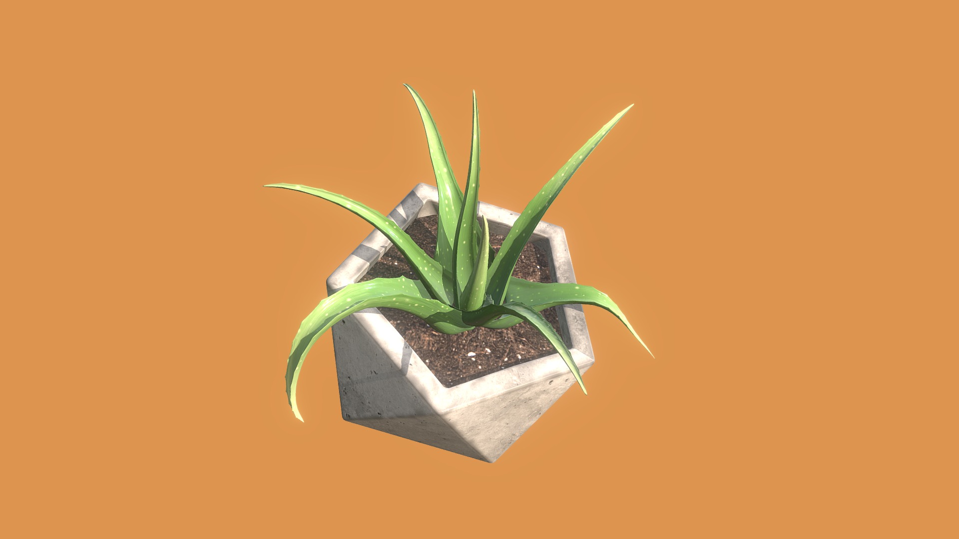 3D model Icosaeder Cactus - This is a 3D model of the Icosaeder Cactus. The 3D model is about a plant in a pot.