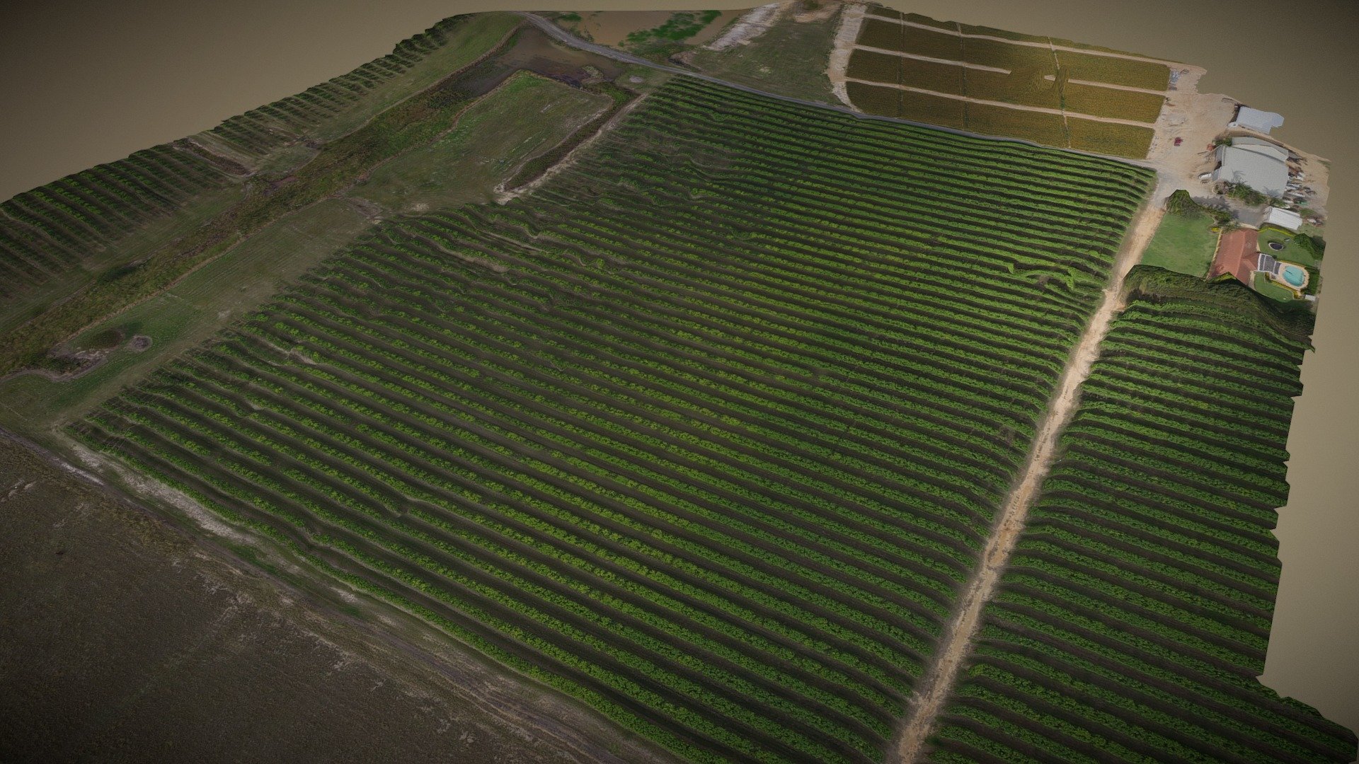 Sunshine Coast Mango Farm - 3D model by qlddrones [3b8299c] - Sketchfab