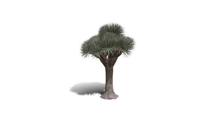 Realistic HD Dragon tree (29/50) 3D Model
