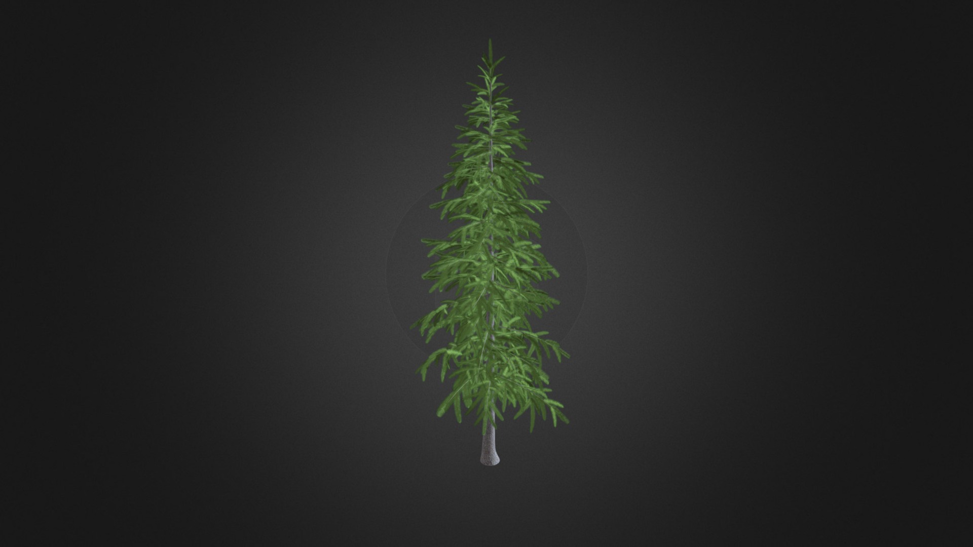 3D model Fir Tree 3D Model 3.4m - This is a 3D model of the Fir Tree 3D Model 3.4m. The 3D model is about a tree with green leaves.