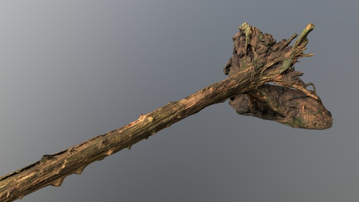 FallenTree01 3D Model