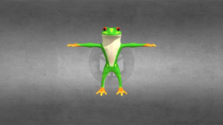 Red eyed tree frog 3D Model