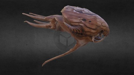 Cephalopod 3D Model