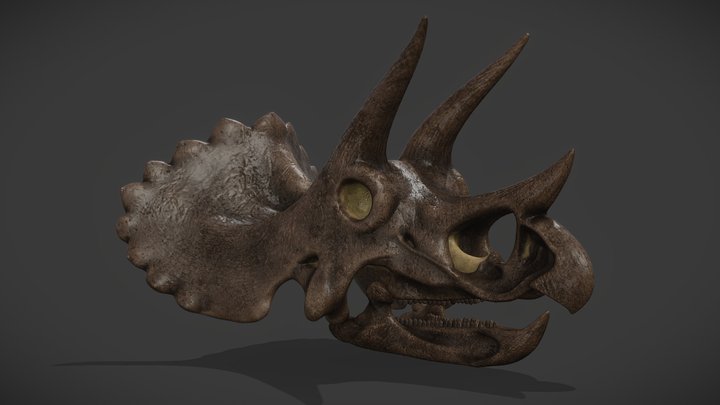 Triceratops Horridus Skull 3D Model