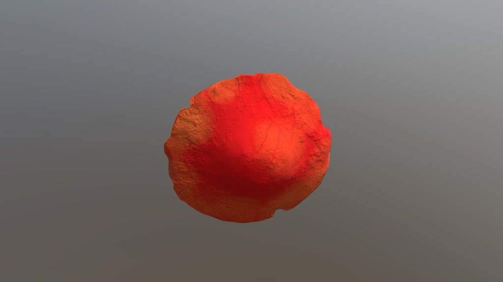 GART_ICM_MUSHROOM_03