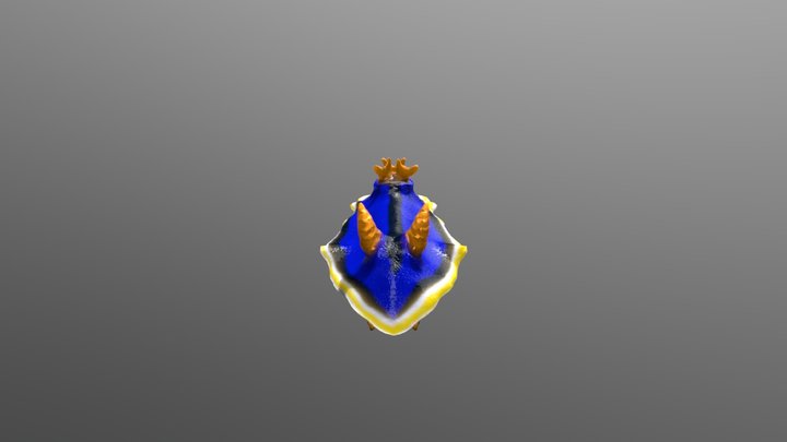 Snail Lowpo Mesh 3D Model