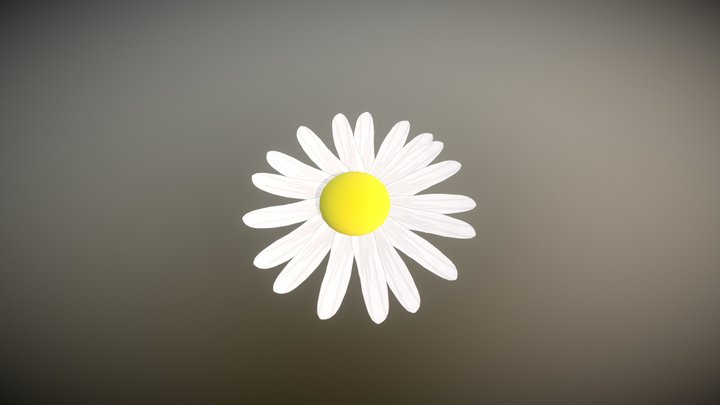 Quick Daisy Petals Test 3D Model
