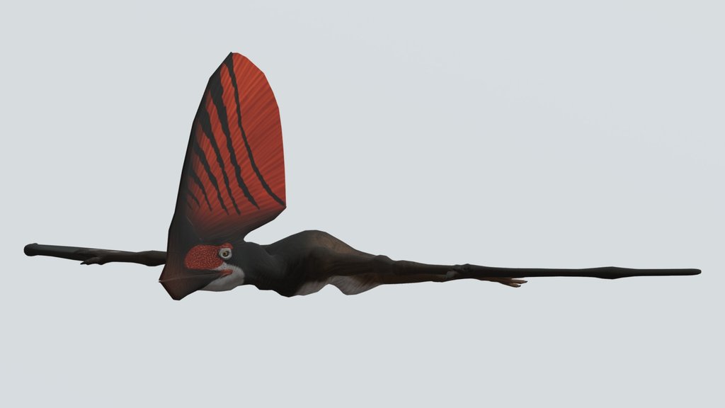Primal Carnage Tupandactylus