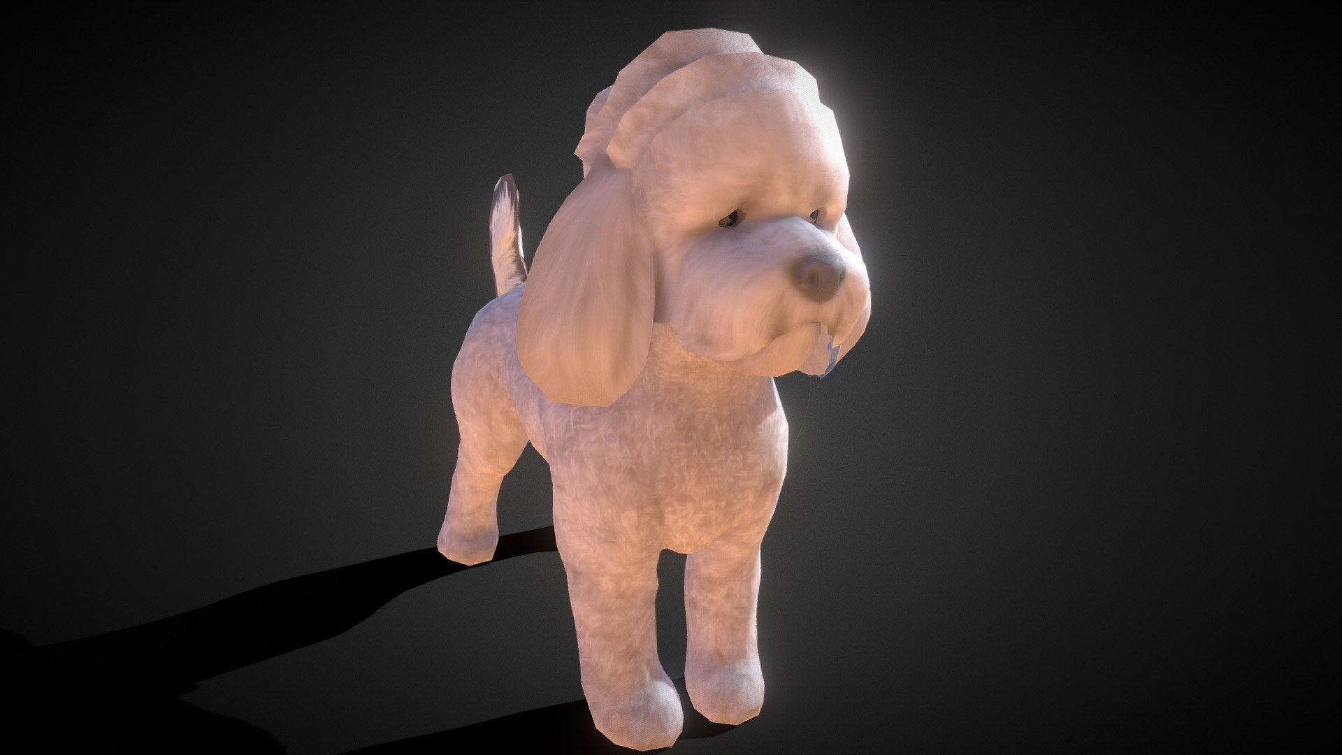 Poodle Dog small - Buy Royalty Free 3D model by animod [3b9aeea ...
