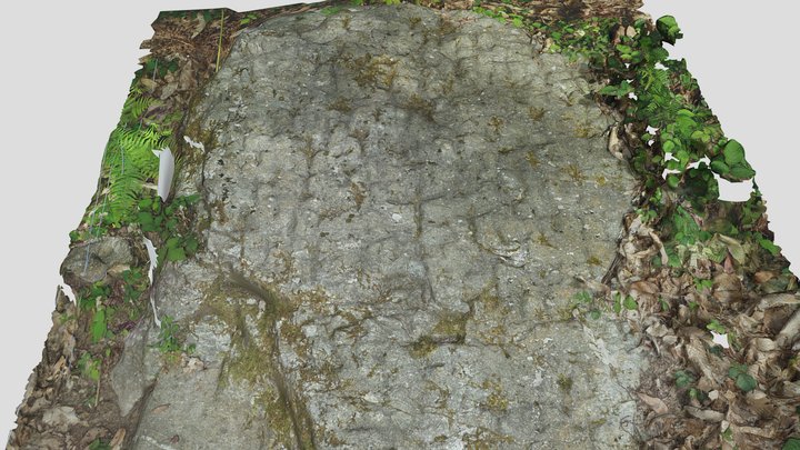 Incisioni rupestri Grotta delle Crocie 3D Model