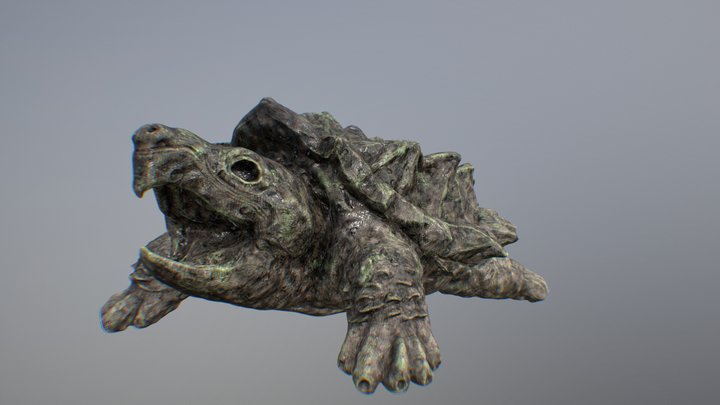 Alligator Turtle 3D Model