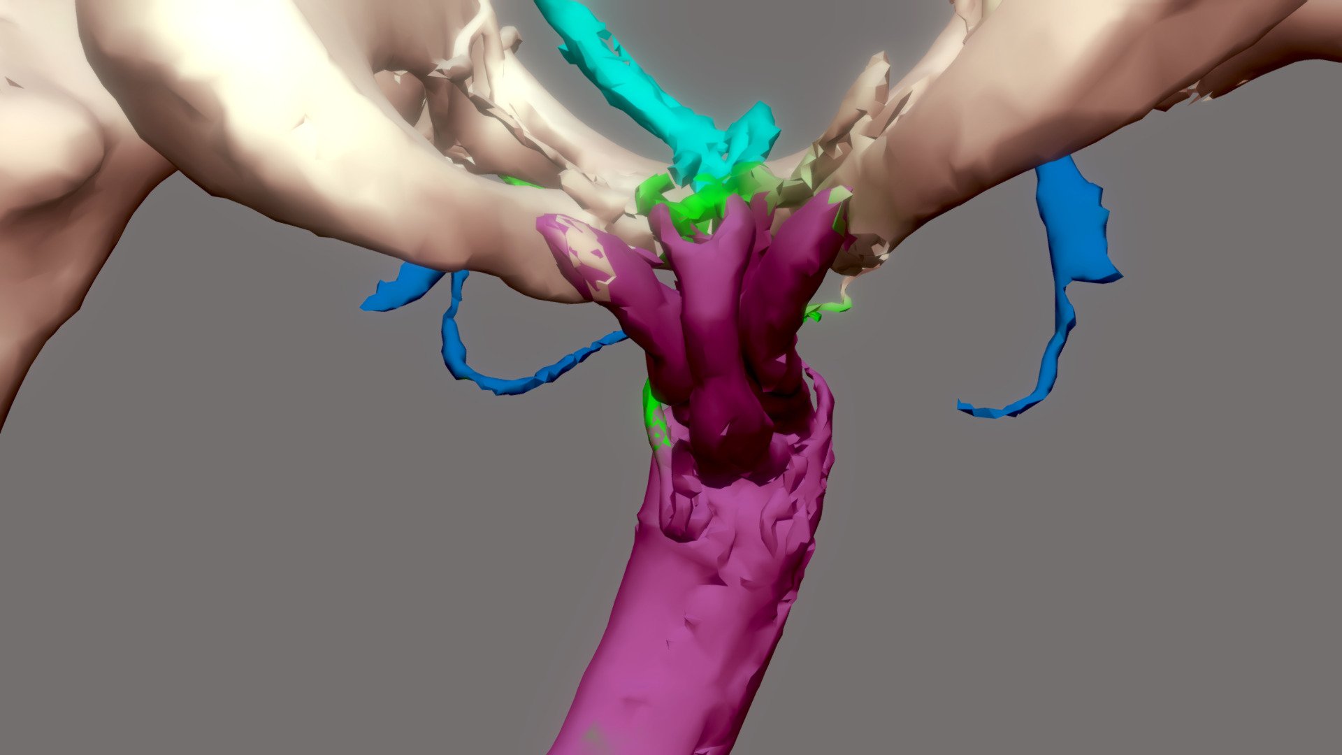 CAVERNO SCANNER