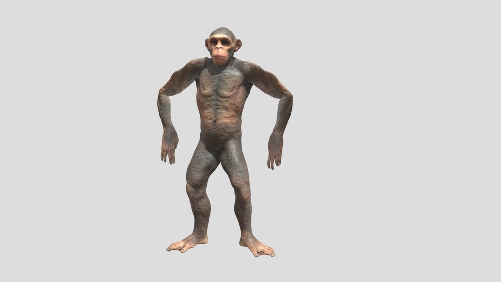 Simio Monkey dancing