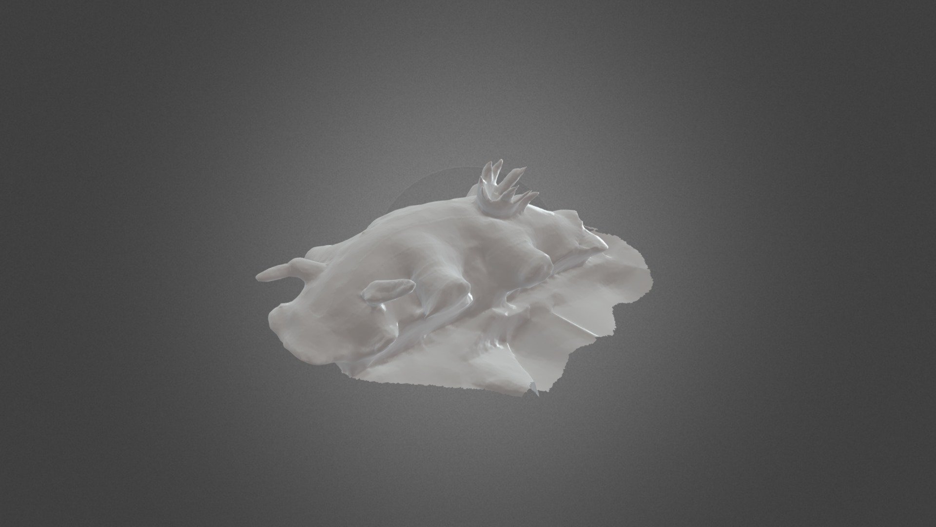 Nudi3