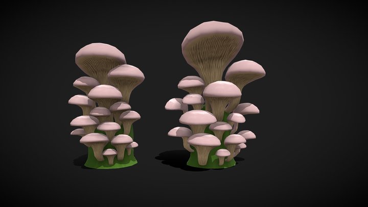Oyster Mushroom 3D Model