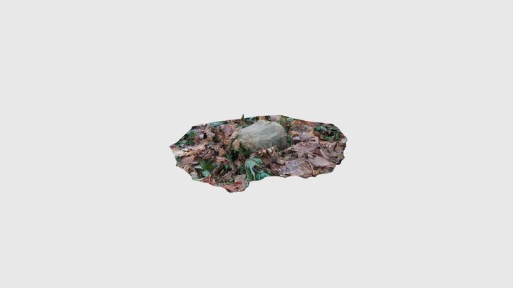 Bornes de la forêt de Sénart France JJ06 3D Model