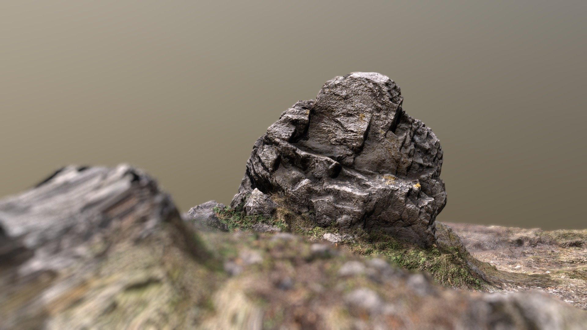 Photogrammetry Rock
