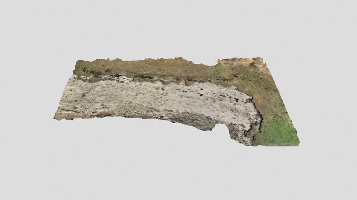 Large nordic beach scan 3D Model