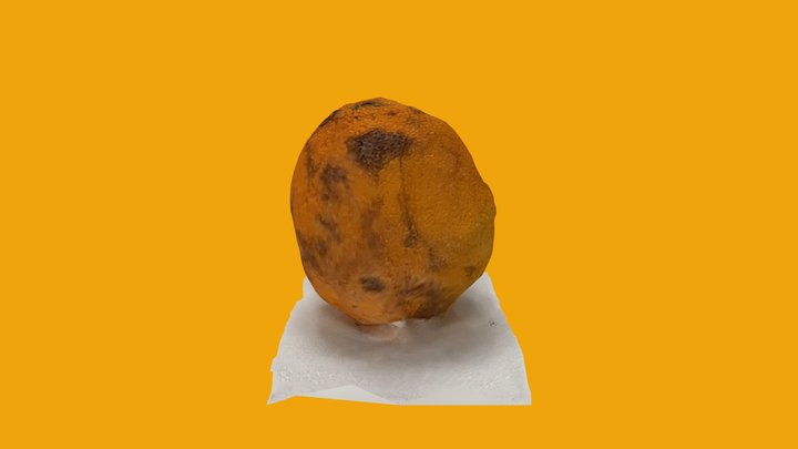 Orange 3D Model