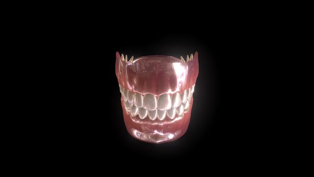 Teeth Set 3D Model