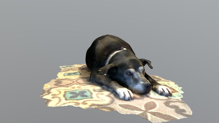 Sleepy Sam 3D Model