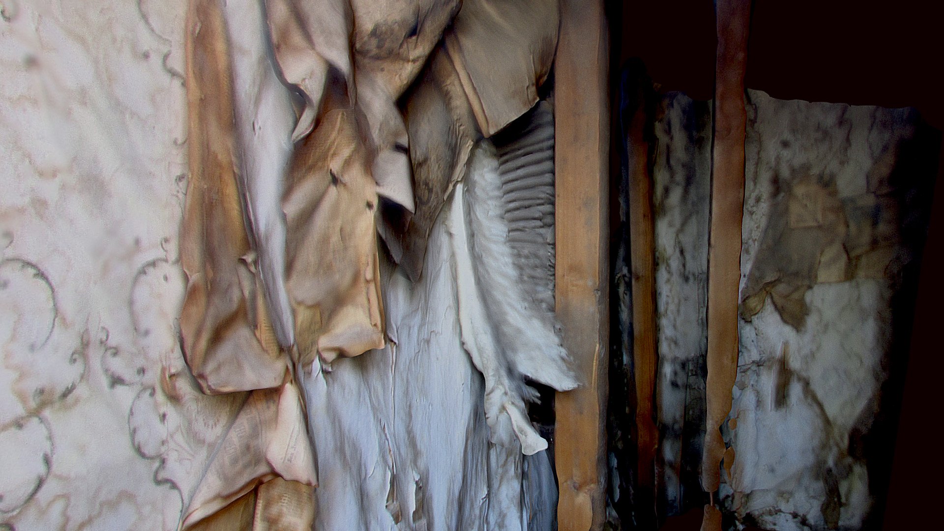Owl Wing in Ghost Town, Bodie California