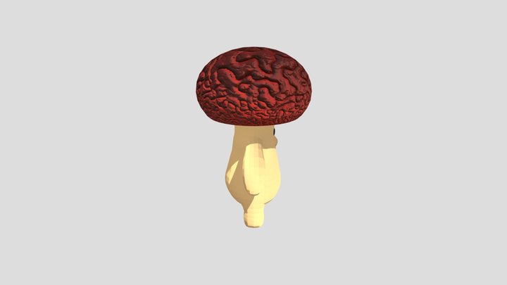 Folderexam_ Shroom 3D Model