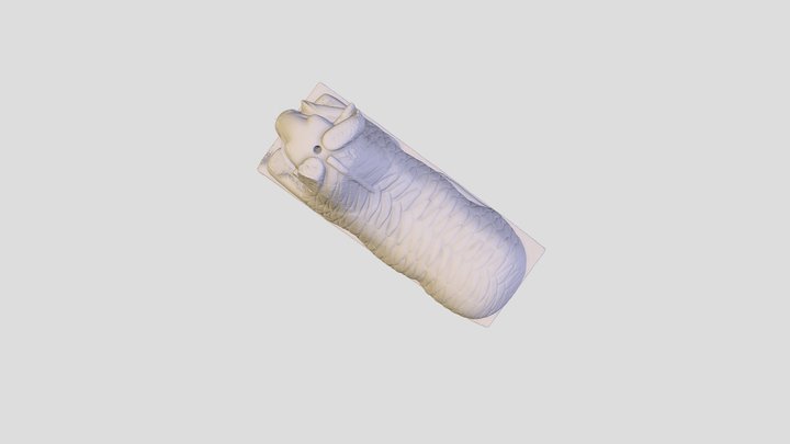 Amun in the form of a ram protecting King Taharq 3D Model