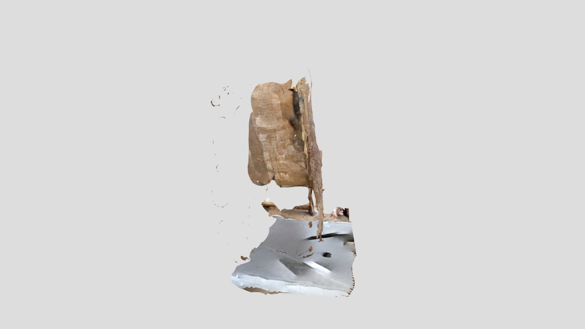 Polycam capture