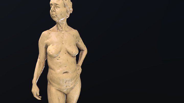 Class Demo - Fall 2017 "Sam" Figure 3D Model