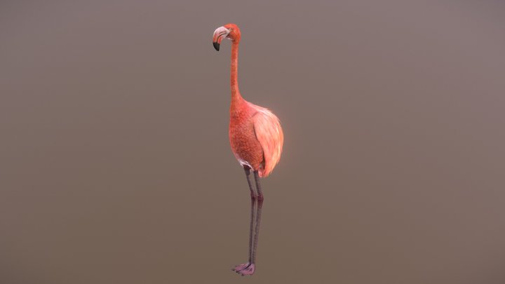 Flamingo Golf Putter