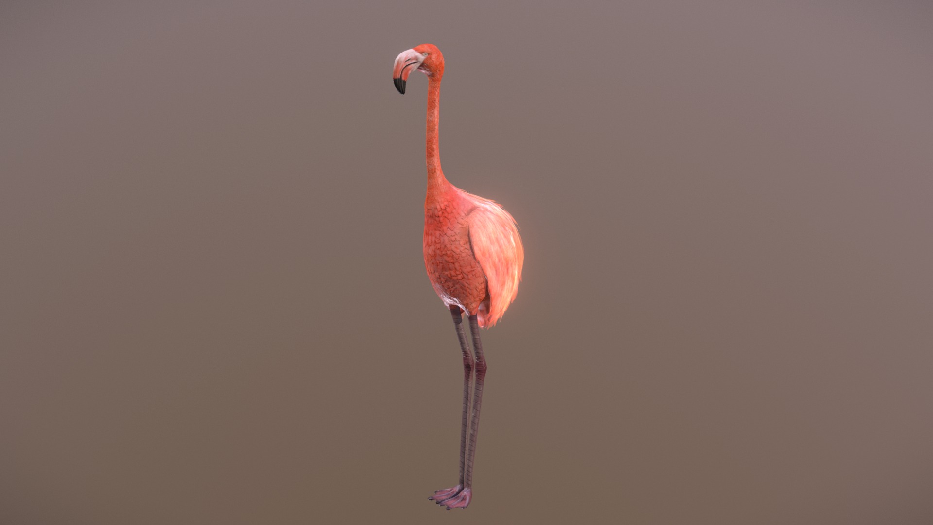 3D model Flamingo Golf Putter - This is a 3D model of the Flamingo Golf Putter. The 3D model is about a pink flamingo with a long neck.