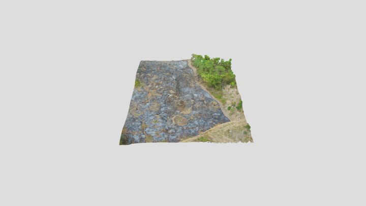 Benemerito NW Looting 3D Model