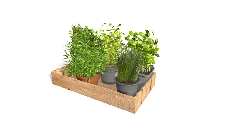 Wooden Tray with Herb Plant pots 3D Model
