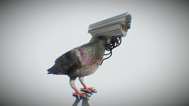 Security pigeon 3D Model