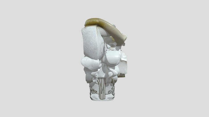 flower 3D Model