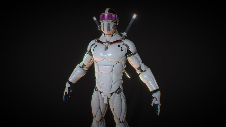Cyber Ninja 3D Model