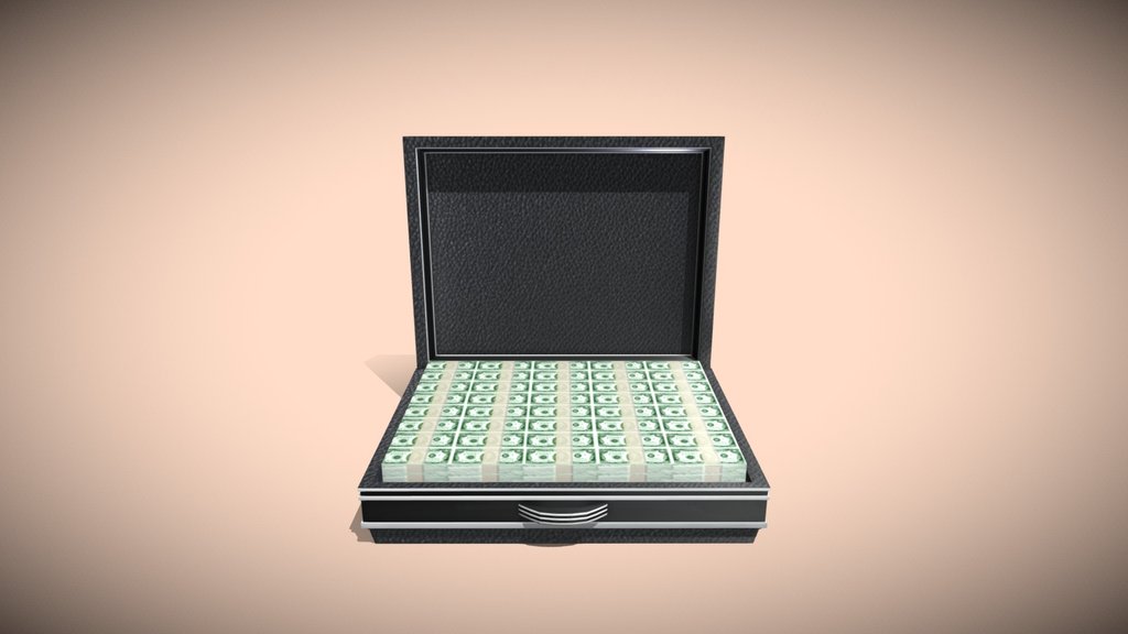 Briefcase with Money